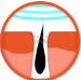 Alt image