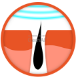 Alt image