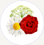 Alt image