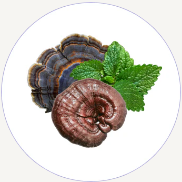 Alt image