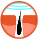 Alt image